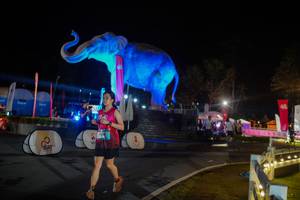 BIB: 
                            <button type="button" onclick="openModal(26552398)" class="btn btn-primary btn-sm float-right btn-popup" data-toggle="modal" data-target=".modal-high-quality">
                        <i class="fas fa-shopping-cart"></i> Add to Cart
                    </button>
                                            <button type="button" onclick="isThisMe(26552398, true)" class="btn btn-success btn-sm float-right btn-popup btn-isme hidden" data-toggle="tooltip" data-placement="bottom" title="นี่คือรูปของคุณใช่ไหม คลิกที่นี่เพื่อเอาเข้าอัลบั้ม">
                        <i class="fas fa-plus"></i> Add to album
                    </button>
                    <button type="button" onclick="isThisMe(26552398, false)" class="btn btn-warning btn-sm float-right btn-popup btn-isnotme hidden">
                        <i class="fas fa-ban"></i> Remove from album
                    </button>